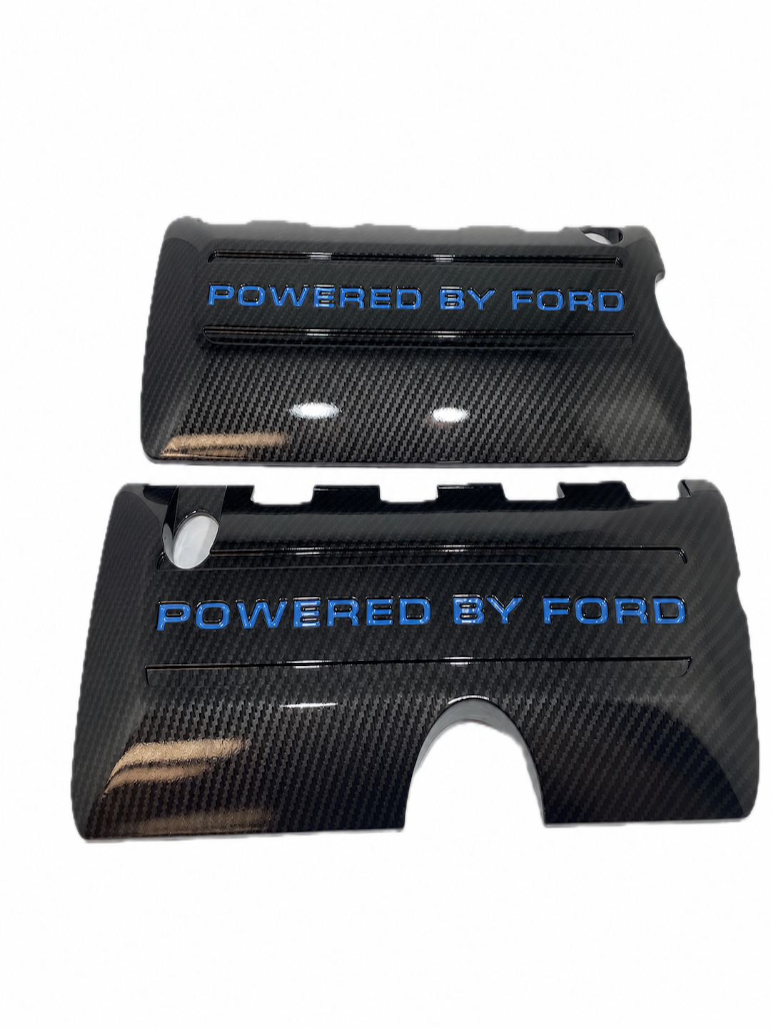Custom Hydro Dipped Carbon Fiber 2011+ Mustang Powered By Ford Grabber Blue Coil Covers