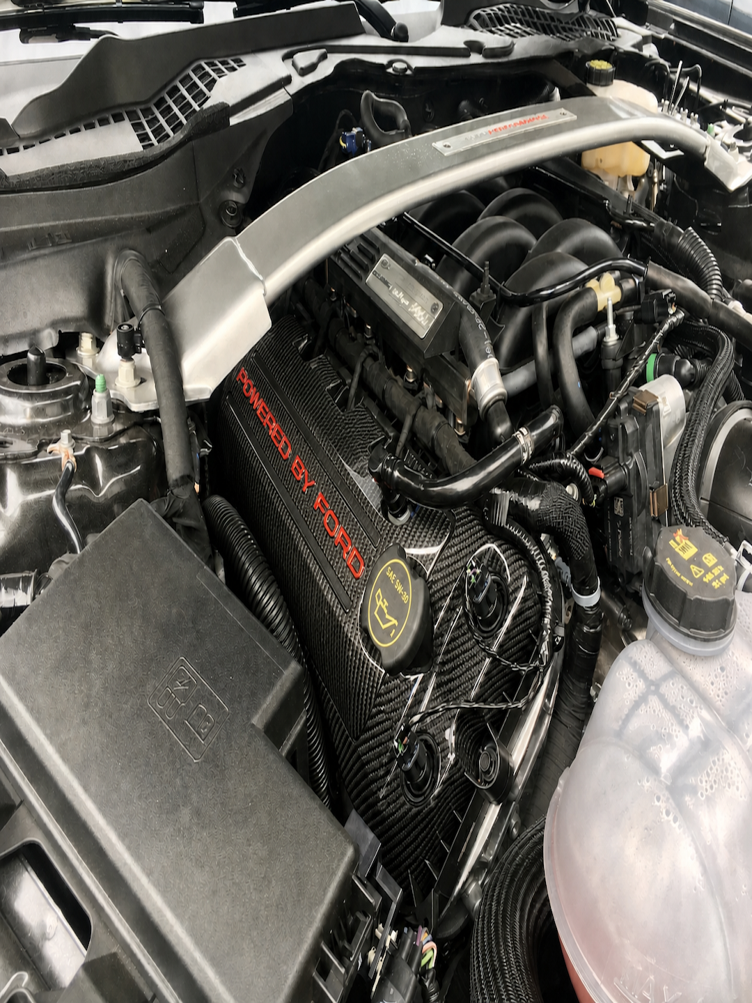 Custom Hydro Dipped Carbon Fiber 2011+ Mustang Powered By Ford Race Red Coil Covers