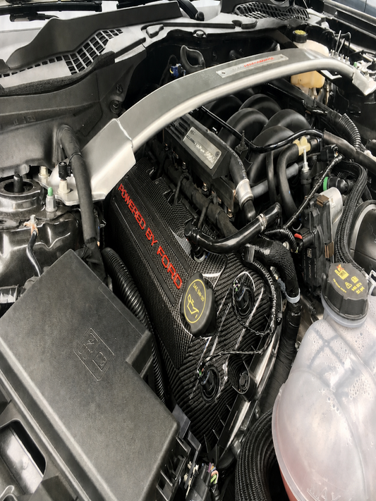 Custom Hydro Dipped Carbon Fiber 2011+ Mustang Powered By Ford Race Red Coil Covers