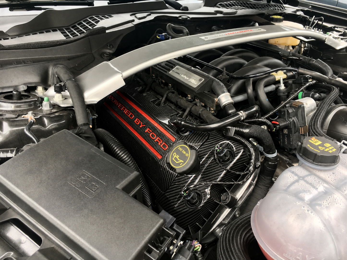 Custom Hydro Dipped Carbon Fiber 2011+ Mustang Powered By Ford Race Red Coil Covers