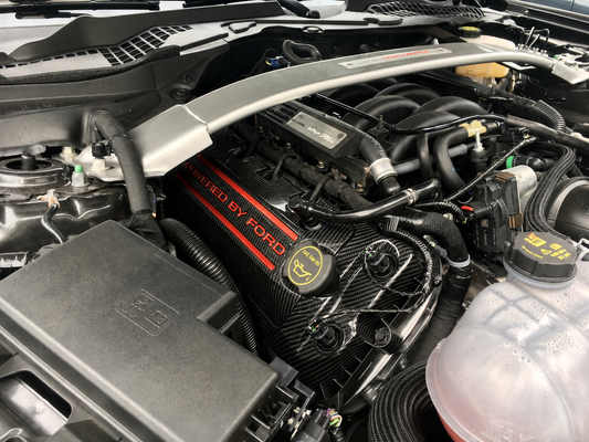 Custom Hydro Dipped Carbon Fiber 2011+ Mustang Powered By Ford Race Red Coil Covers
